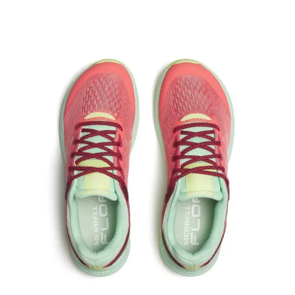 Merrell Femme Antora 4 - Voir Tout Blossom Best Sale